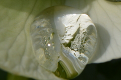 水滴