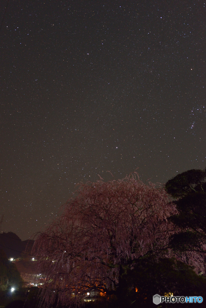 満天の星空の下
