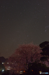 満天の星空の下