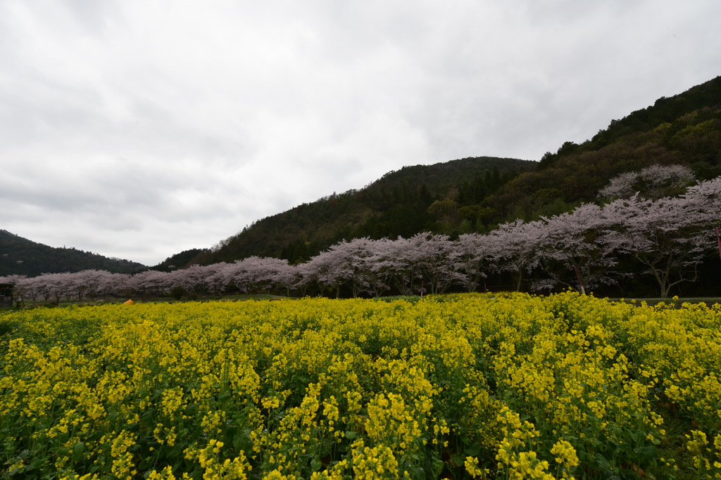 青空が欲しい