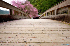 橋の向こうに
