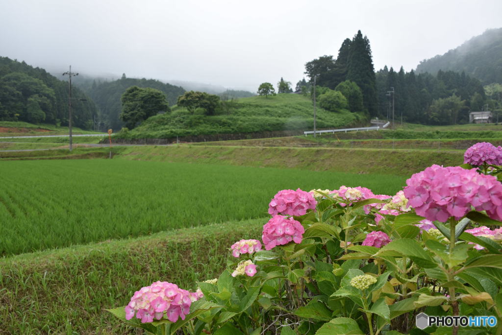 里山の梅雨