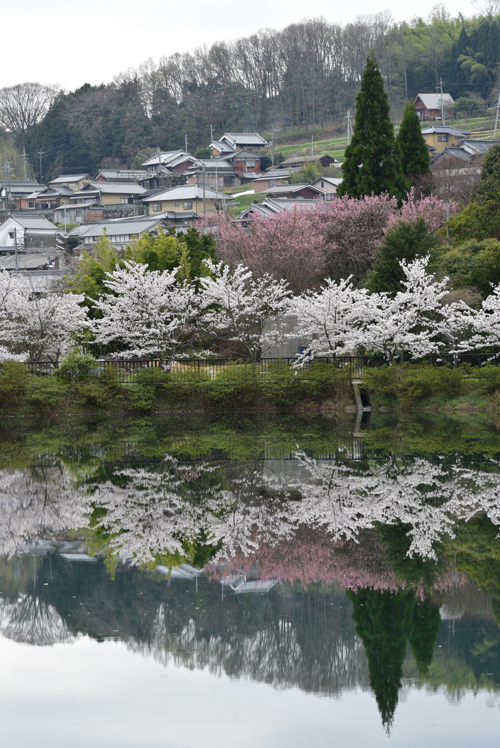 里山の春
