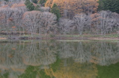 晩秋・１
