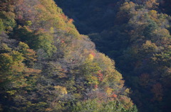秋・５