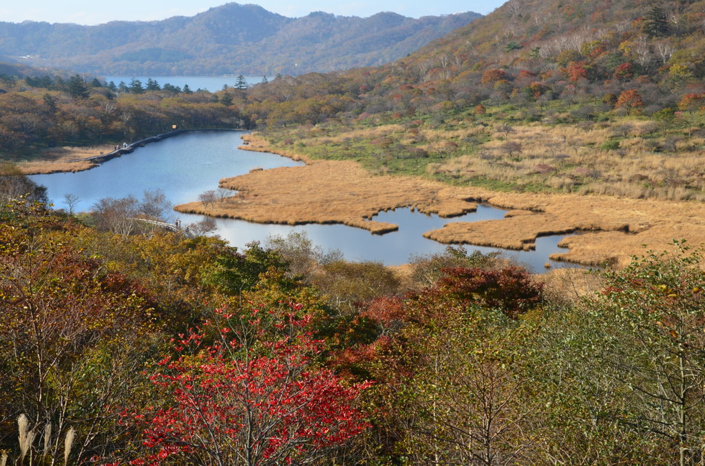 覚満淵