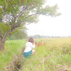 稲刈り前の畦に咲く曼珠沙華を撮るキミ 