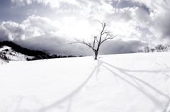 Between sky and ground