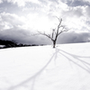 Between sky and ground