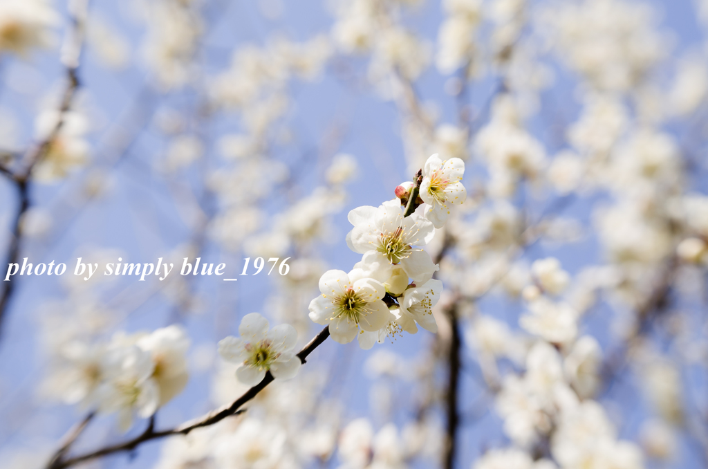 If winter comes, can spring be far behin