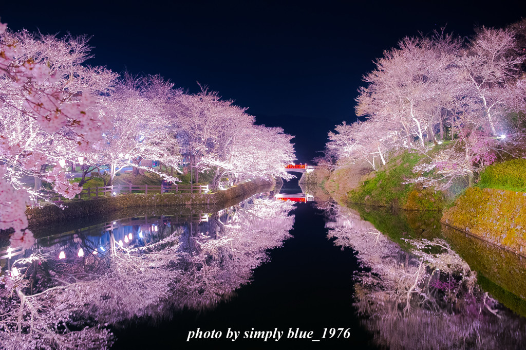 Reflection ～sakura week～ 