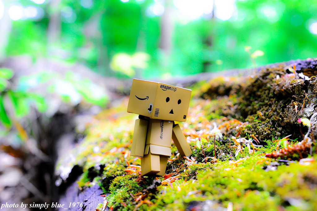 Danbo　Sanpo 