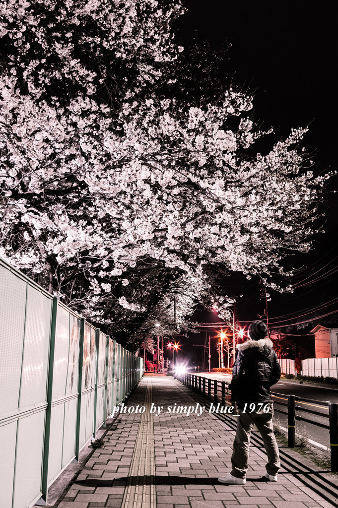 Sakura de Night ☆ Rock Ver. ～sakura week