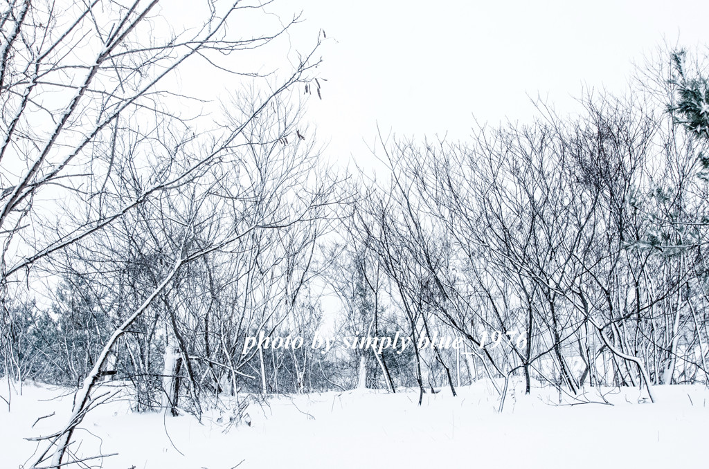 White World