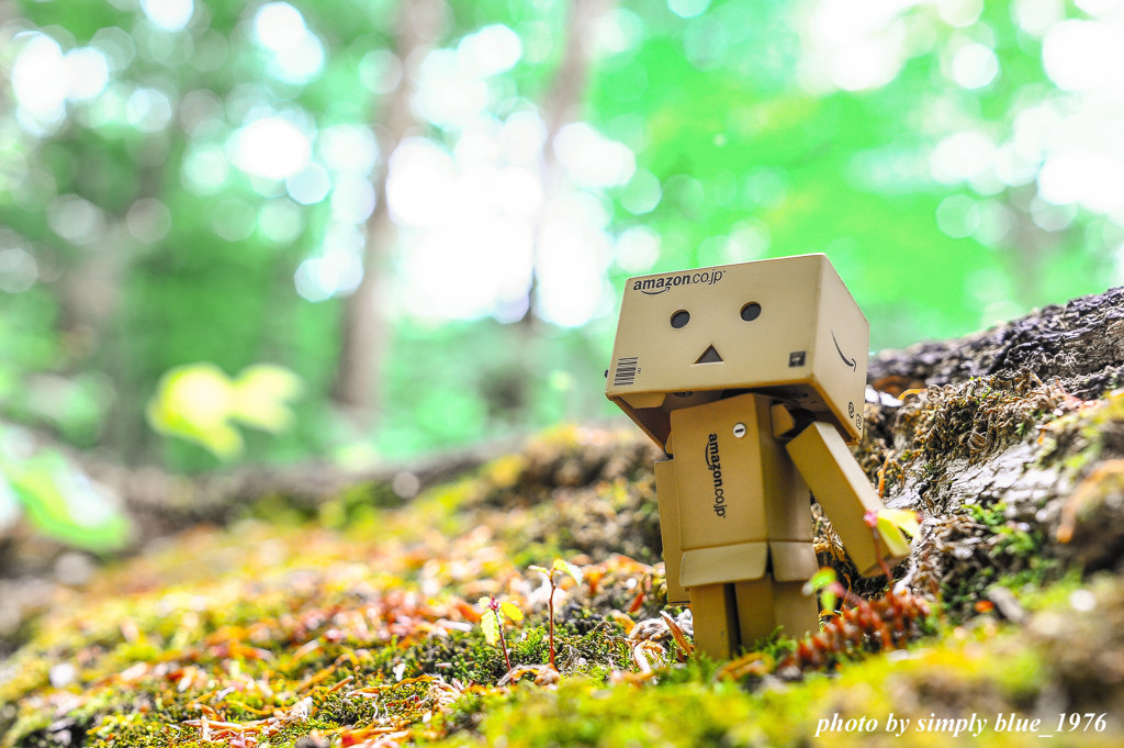 Danbo　Sanpo 