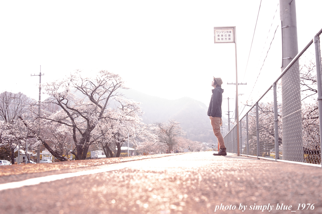 Departure ～sakura week～ 