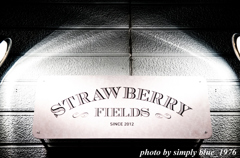 Strawberry Fields #1