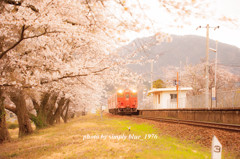 Local Train ～sakura week～ 