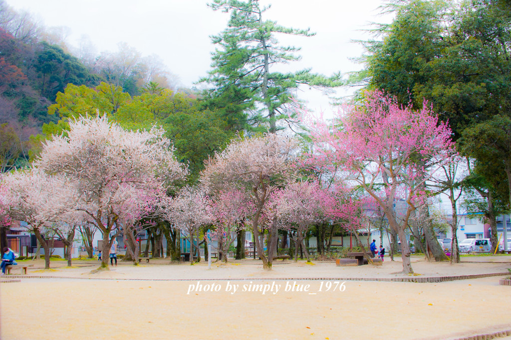 UME@2013