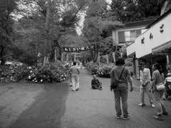 RIMG0081[1]