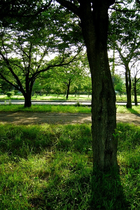 DSCN2959[1]