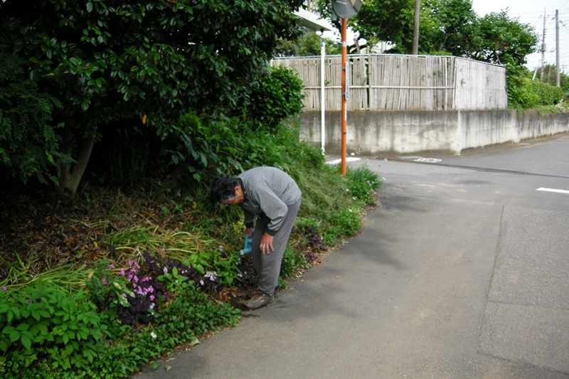DSCN2939[1]