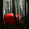 朱