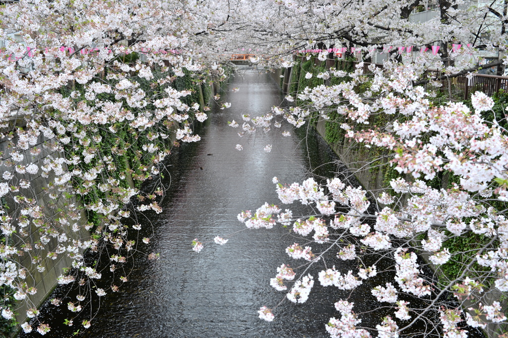 もう一度見たい風景、是非見るべき風景