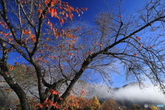 朝霧残る頃