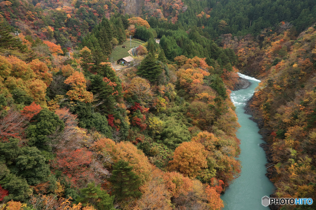 川のある風景