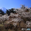 富士と桜