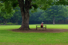 大きな木の下で  (48Ｔ)