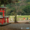 鳥居の前で