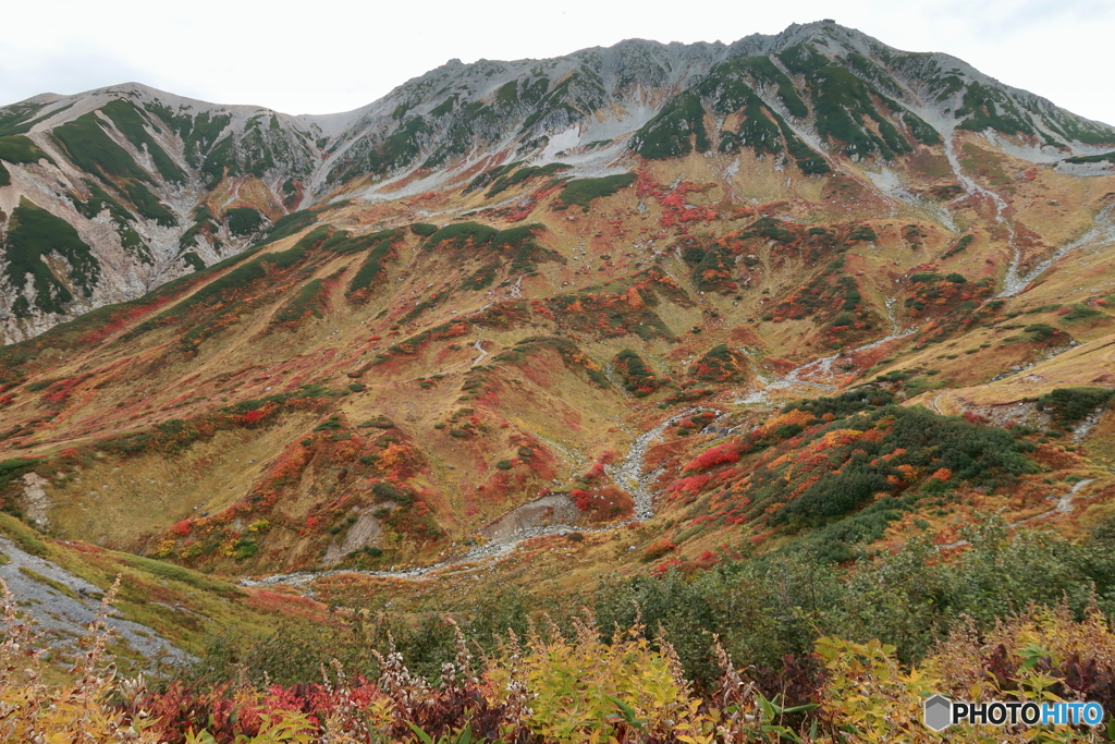 紅葉進む室堂