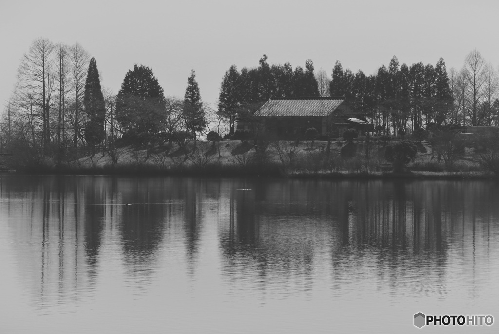 湖畔の情景