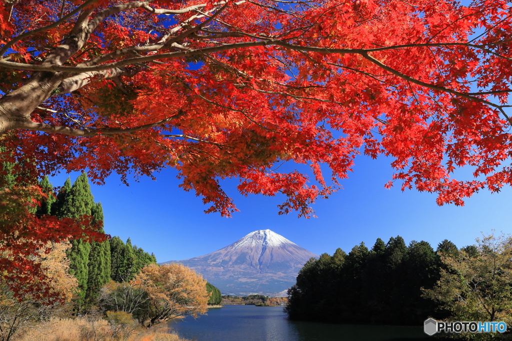 青空に紅葉映える