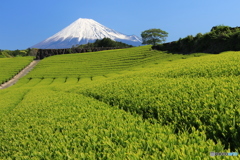 今日から令和