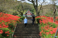 参道を往く