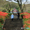 参道を往く