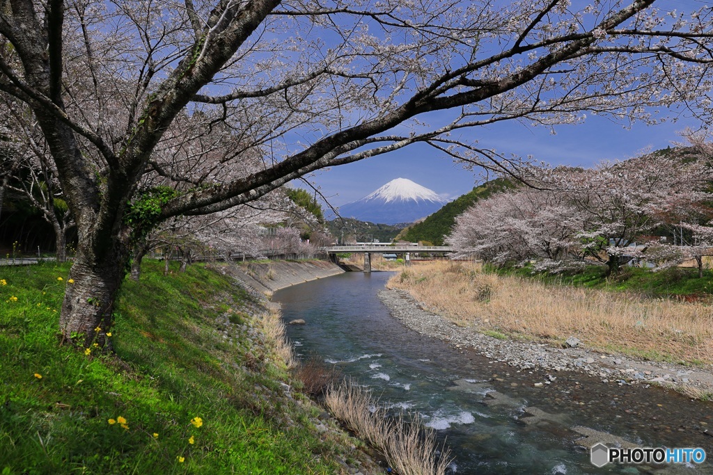 里の春