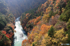 紅葉光る渓谷で