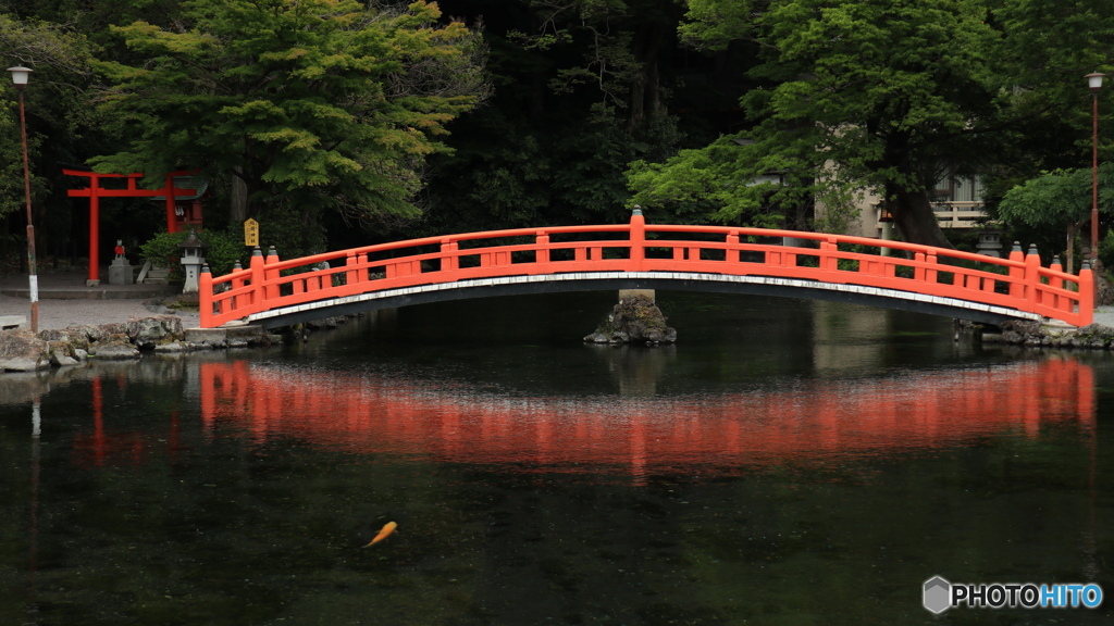 紅い橋 （717T)