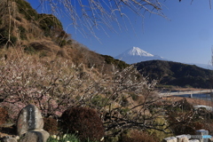 石碑のある風景