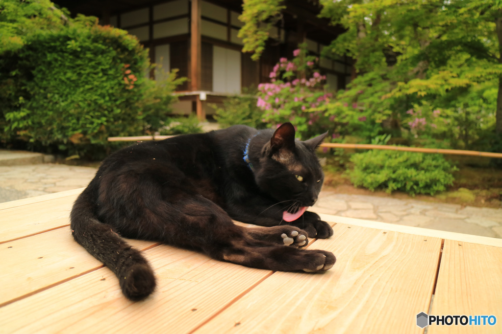 寺の守り主