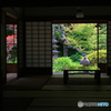 二色の庭園