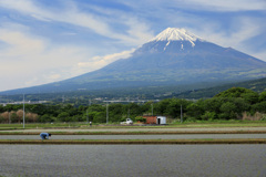 水田と富士