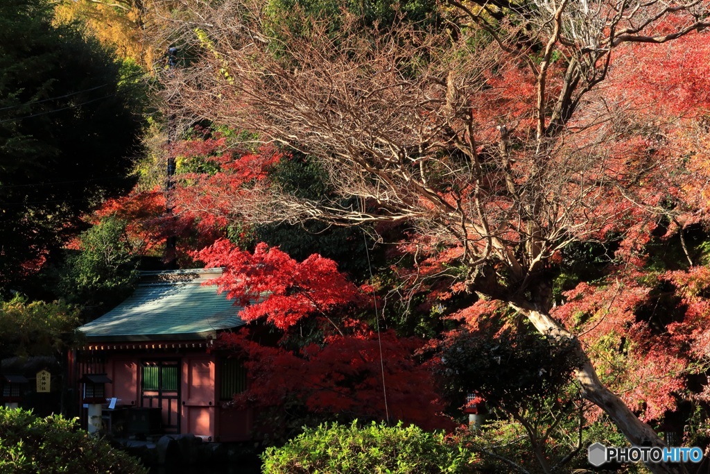 晩秋・水屋神社