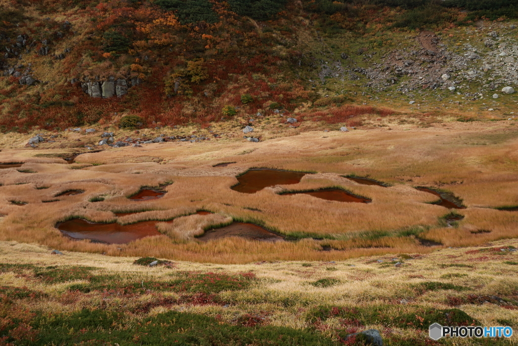 室堂・血の池で