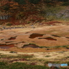 室堂・血の池で