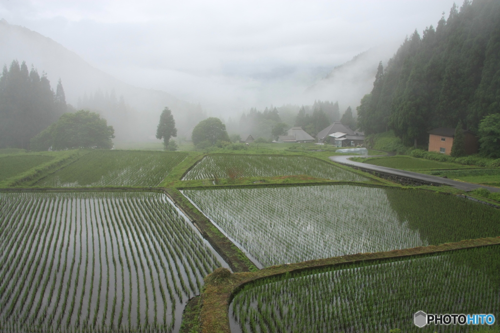 朝靄